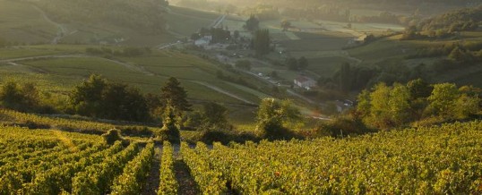 bnb:Côtes de Beaune