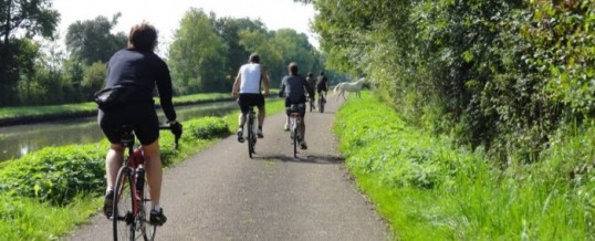 Fine guest house:Cycling