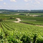 chablis-wine-charming-guest-house-burgundy