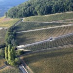 burgundy-wine-near-guests-house