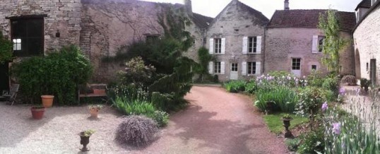 bed & breakfast burgundy