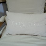 Carpe Diem22