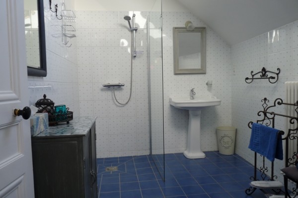 large-shower-bnb-burgundy