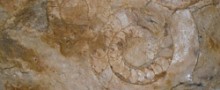 guest-house-arcy-grottoes