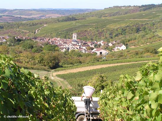guest-house-near-chablis
