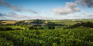 visit-vititours-chablis-wine