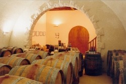 domain-alain-mathias-tonnerre-burgundy