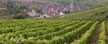 beautiful-guestsrooms-burgundy-wine