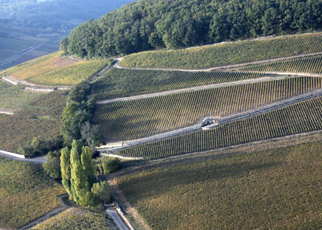 wine-guests-house-burgundy