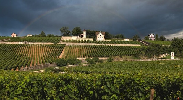 guests-house-in-burgundy