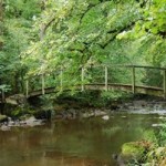 bed-and-breakfast-avallon