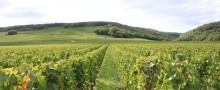 accommodation-breakfast-burgundy-wine-route