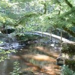 cousin-valley-avallon-burgundy