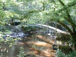 cousin-valley-avallon-burgundy