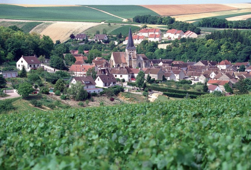 guests-house-chablis