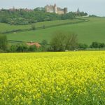 gastronomy-burgundy-carpe-diem