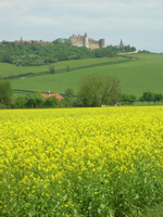 gastronomy-burgundy-carpe-diem