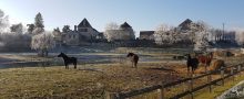 clavisy-farm-carpe-diem