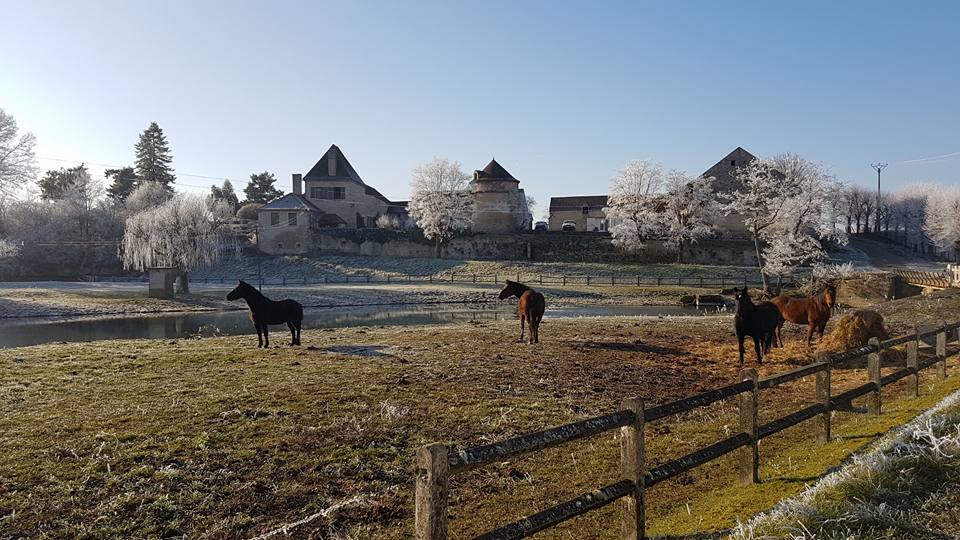 clavisy-farm-carpe-diem